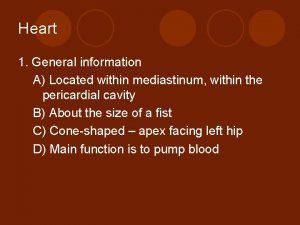 Heart 1 General information A Located within mediastinum