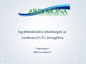 Egyttmkdsi lehetsgek az Arrabona EGTC trsgben Nagymegyer 2014