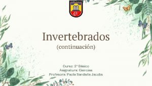 Invertebrados continuacin Curso 2 Bsico Asignatura Ciencias Profesora