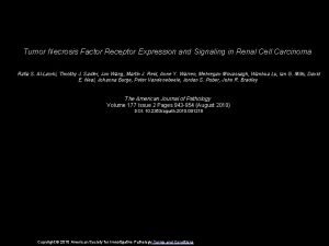 Tumor Necrosis Factor Receptor Expression and Signaling in