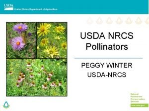 USDA NRCS Pollinators PEGGY WINTER USDANRCS Who We