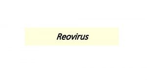 Reovirus Virus de ARN de cadena doble Reoviridae