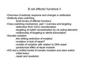 B cell effector functions II Overview of antibody