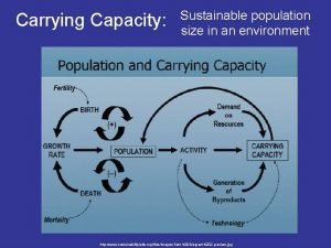 Carrying Capacity Sustainable population size in an environment