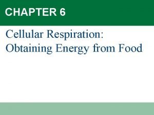 Cellular respiration obtaining energy from food