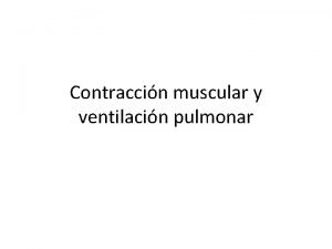 Contraccin muscular y ventilacin pulmonar Contraccin muscular Contraccin