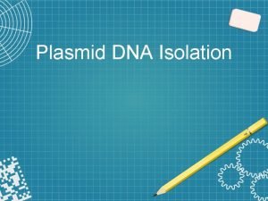 Principle of dna isolation Principle of dna isolation