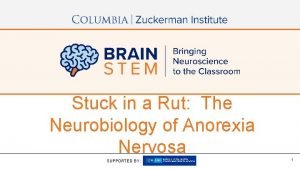 Stuck in a Rut The Neurobiology of Anorexia