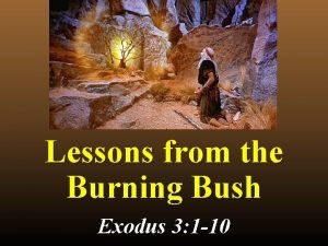 Lessons from the burning bush