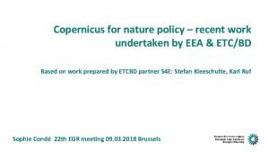 Copernicus for nature policy recent work undertaken by