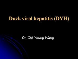 Duck viral hepatitis DVH Dr ChiYoung Wang Enlarged