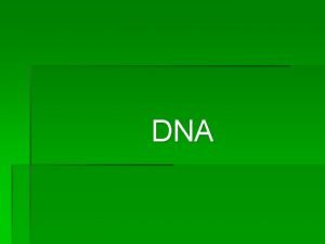 DNA What is DNA DNA makes us who