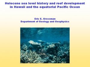 Holocene sea level history and reef development in
