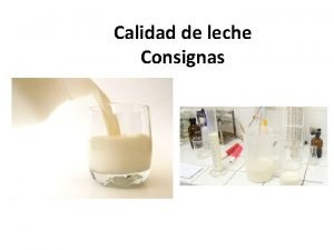 Calidad de leche Consignas 1 Cul es el