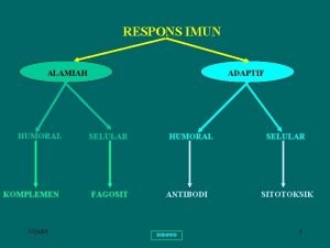 RESPONS IMUN ALAMIAH HUMORAL KOMPLEMEN 71604 ADAPTIF SELULAR