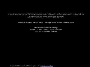 The Development of BleomycinInduced Pulmonary Fibrosis in Mice