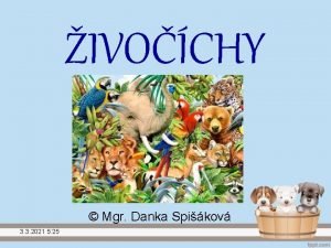 IVOCHY Mgr Danka Spikov 3 3 2021 5
