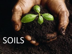 SOILS How Do Soils Form Soils differ from