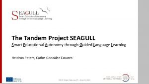 Seagull-tandem.eu