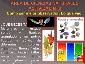 REA DE CIENCIAS NATURALES ACTIVIDAD N 3 Cmo