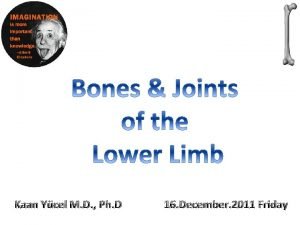 Tibiofibular joint