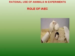 Function of iaec