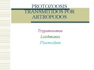 PROTOZOOSIS TRANSMITIDOS POR ARTRPODOS Trypanosomas Leishmania Plasmodium Tripanosomiosis