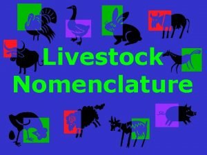 Livestock Nomenclature Nomenclature A system of names in