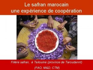 Le safran marocain une exprience de coopration Filire