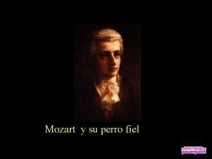 Mozart perro Mozart perro