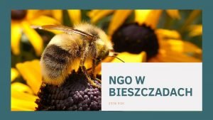 NGO W BIESZCZADACH 2018 ROK PROGRAM NGO czyli