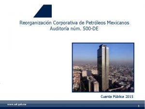 Reorganizacin Corporativa de Petrleos Mexicanos Auditora nm 500