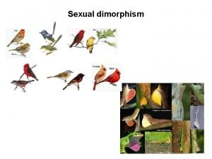 Sexual dimorphism Sexual selection Is sexual selection different
