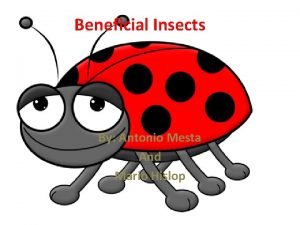 Beneficial Insects By Antonio Mesta And Mario Hislop