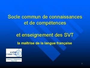 Socle commun de connaissances et de comptences et