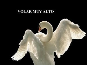 A volar alto