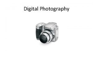 Digital Photography Different Kinds of Photography 1 Portrait