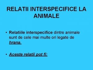 RELATII INTERSPECIFICE LA ANIMALE Relatiile interspecifice dintre animale