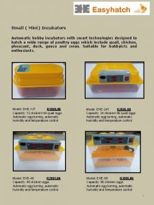 Small Mini Incubators Automatic hobby incubators with smart