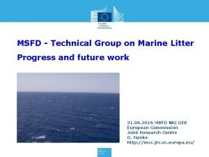 MSFD Technical Group on Marine Litter Progress and