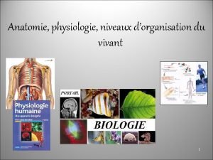 Anatomie physiologie niveaux dorganisation du vivant 1 Cur