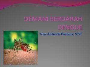 DEMAM BERDARAH DENGUE Nur Auliyah Firdaus S ST