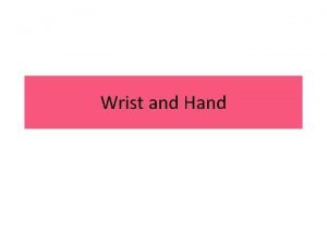 Wrist and Hand Wrist The Wrist Flexor Extensor