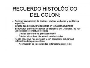 RECUERDO HISTOLGICO DEL COLON Funcin reabsorcin de lquidos