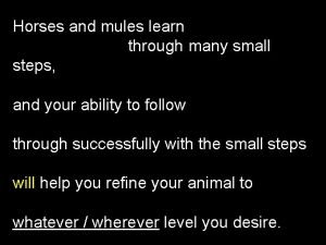 Steps to mules