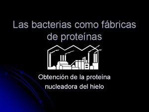 Las bacterias como fbricas de protenas Obtencin de