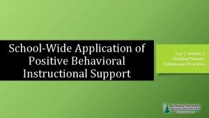 Positive behavioral interventions and supports