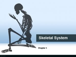 Chapter 5 the skeletal system
