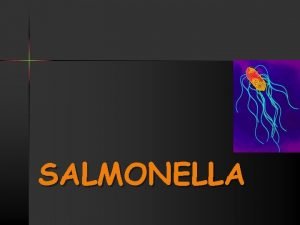 Biochemical properties of salmonella