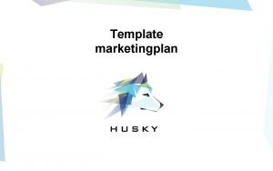 Template marketingplan DOELSTELLINGEN VAN DIT MARKETINGPLAN Financile doelstellingen